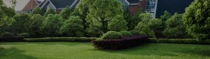 mantenimiento-jardines Mantenimiento de jardines